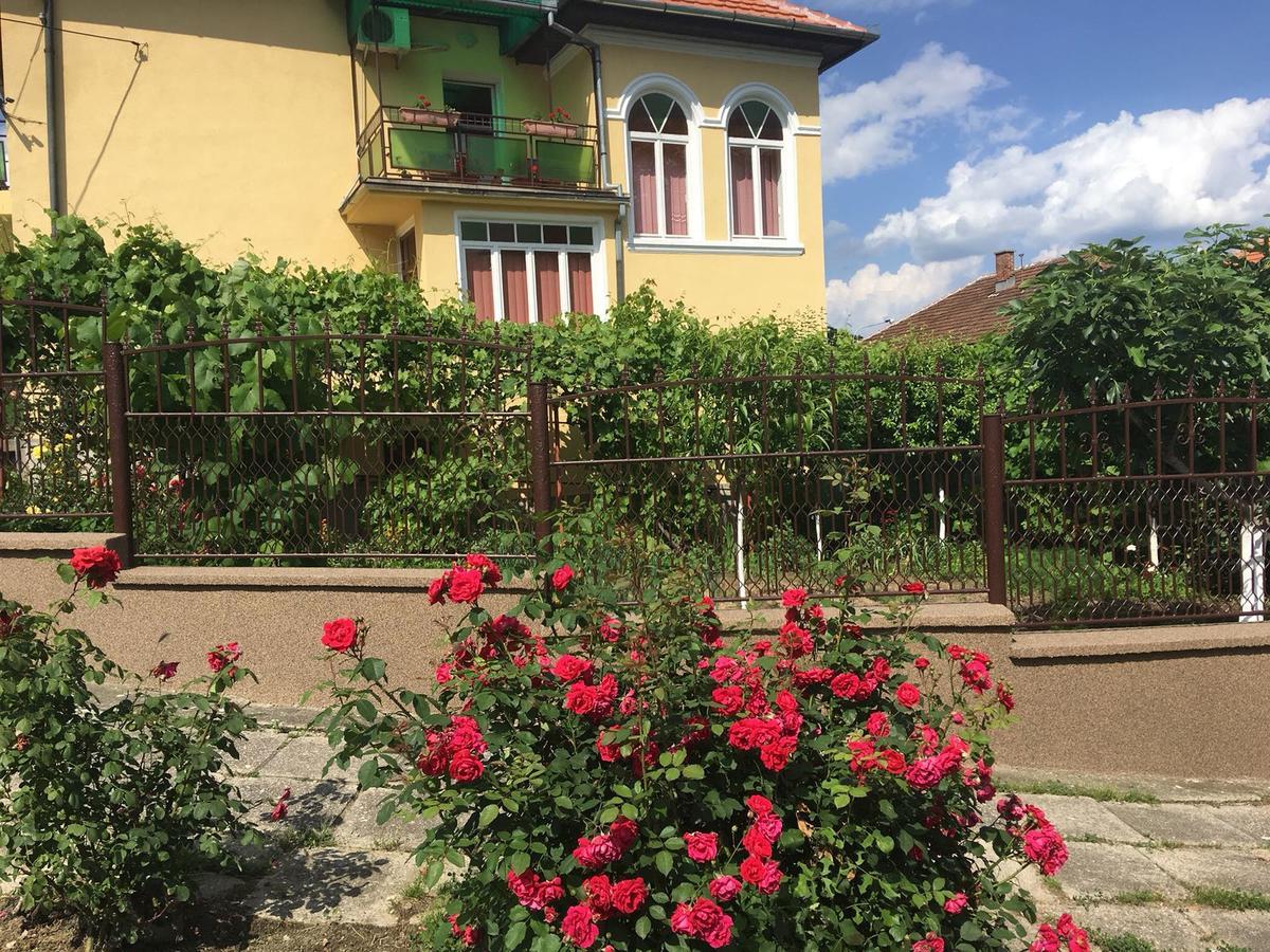Vila Arjana Orşova Екстериор снимка