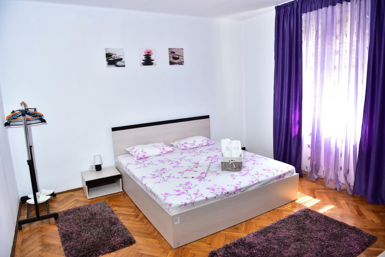 Vila Arjana Orşova Екстериор снимка