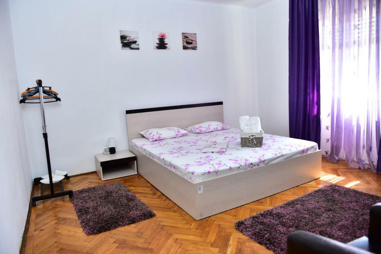 Vila Arjana Orşova Екстериор снимка