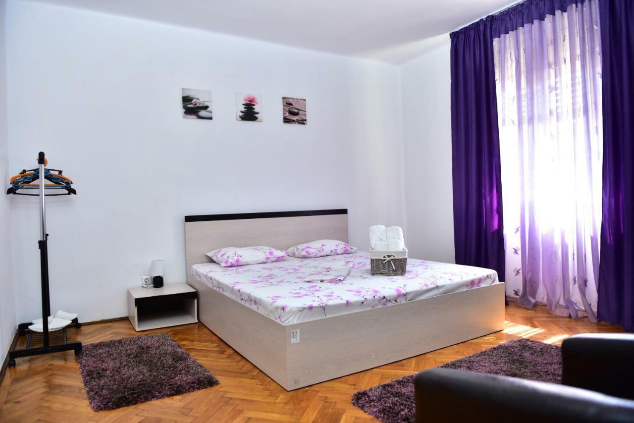 Vila Arjana Orşova Екстериор снимка