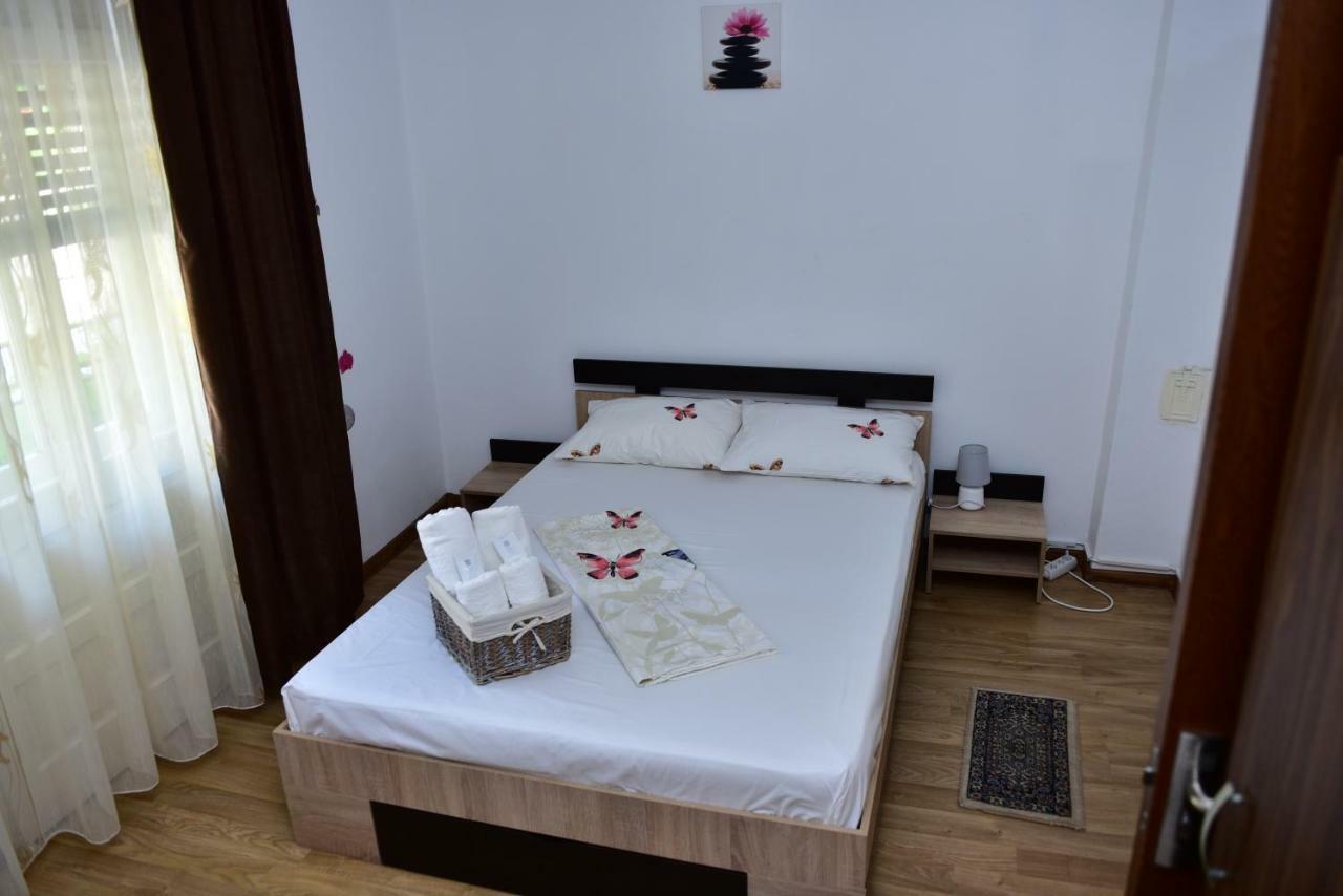 Vila Arjana Orşova Екстериор снимка