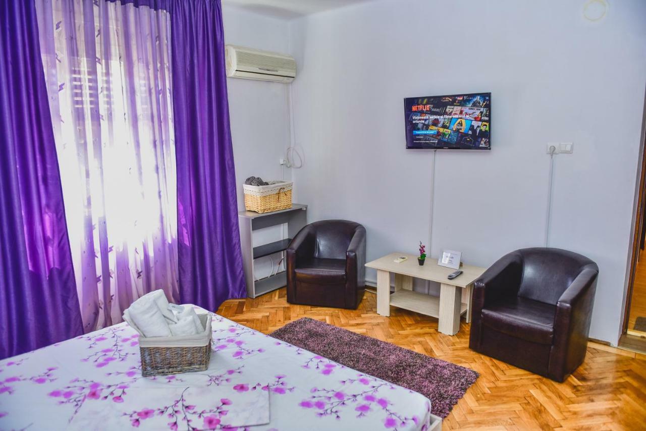 Vila Arjana Orşova Екстериор снимка