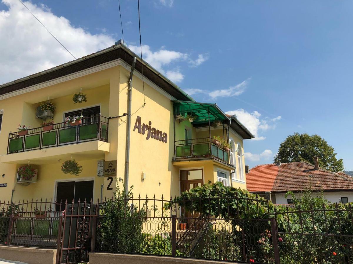 Vila Arjana Orşova Екстериор снимка